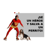 ¡Sé un héroe y salva a un perrito!. Marketing project by Canek Moreno Peña - 04.15.2020