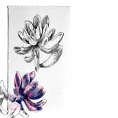 Pachyphytum oviferum Purpus . Un proyecto de Ilustración botánica de Mariana Coutinho - 05.04.2020