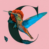 Textile Prints with Digital Techniques - Colibri Bird. Un proyecto de Ilustración digital de Sebastian Pandelache - 06.05.2020