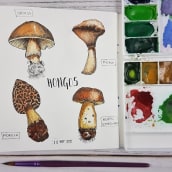 Mi Proyecto del curso: Ilustración de un diario naturalista. Un progetto di Illustrazione botanica di evirol - 10.05.2020