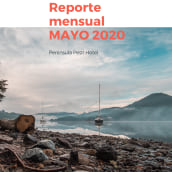 Mi Proyecto del curso: Introducción al community management Reporte mayo 2020. Redes sociais projeto de Daiana Ryndycz - 30.05.2020