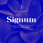 Signum: un sistema de letras a partir de módulos.. Design, Packaging, T, pograph, Lettering, T, pograph, and Design project by Fernando I - 06.16.2020