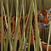 Tiger. Un proyecto de Ilustración digital de Tom Marshall - 17.07.2020