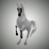Black Horse. Composição fotográfica projeto de Cris Morillas - 30.07.2020