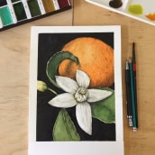 Mi Proyecto del curso: Ilustración botánica con acuarela. Botanical Illustration project by Liebre De marzo - 09.03.2020
