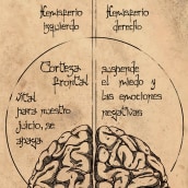 La Química del Amor: El Cerebro. Ilustração digital projeto de Lucía Vera Rubio - 09.09.2020