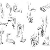 Recopilación de anatomía humana Jacobo. Un proyecto de Ilustración tradicional de Jacobo Ospina Rojas - 17.09.2020