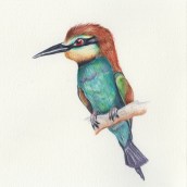 Mi Proyecto del curso: Ilustración naturalista de aves con acuarela. Traditional illustration, and Watercolor Painting project by Diana Vazquez - 09.18.2020