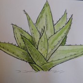 Mi Proyecto del curso: Cuaderno botánico en acuarela. Un projet de Aquarelle de Federica Banfi - 01.11.2020