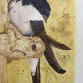 Mi Proyecto del curso: Ilustración naturalista de aves con acuarela. Un progetto di Pittura ad acquerello di antoniomlp - 02.11.2020