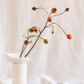 A C C I D E N T A L  · Serie de objetos fruto del azar. Arts, Crafts, and Product Photograph project by Flo Corretti (Tarareo) - 10.27.2020