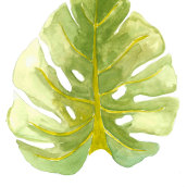 Meu projeto do curso: Aquarela botânica para estampados. Un proyecto de Ilustración botánica de Amanda Gobus - 27.11.2020
