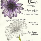 Mi Proyecto del curso: Cuaderno botánico en acuarela. Un proyecto de Ilustración botánica de Madison Soto - 08.12.2020
