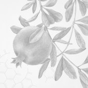 Botanicals. Ilustração tradicional projeto de Alba Teixidor - 16.12.2020