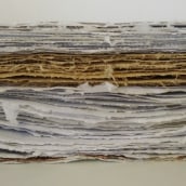 Mi Proyecto del curso: Elaboración artesanal de papel. Un proyecto de Dibujo, Pintura a la acuarela, Cerámica y Pintura al óleo de Patricia Infante - 10.01.2021
