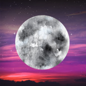 The Moon, from 12 Moons Tarot. Un proyecto de Diseño gráfico de Lindsey McNeill - 27.12.2019