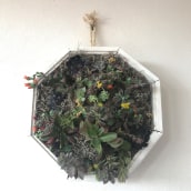 Mi Proyecto del curso: Diseño y creación de composiciones botánicas. Un proyecto de Decoración de interiores de Monica Barbosa - 01.02.2021