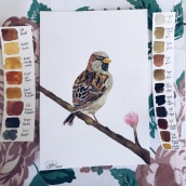 Mi Proyecto del curso: Ilustración naturalista de aves con acuarela. Ilustração naturalista projeto de Dalia Daniel - 16.02.2021