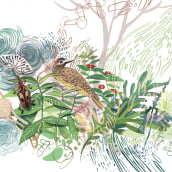Biología evolutiva. Naturalistic Illustration project by Elizabeth Builes Carmona - 02.16.2021