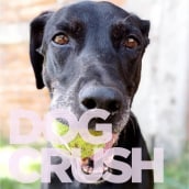 Dog Crush. Un proyecto de Cop y writing de Verónica Orospe - 25.02.2021