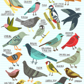 Birds of Portland. Traditional illustration project by Kate Sutton - 09.05.2020