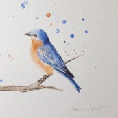 Mi Proyecto del curso: Acuarela artística para ilustración de aves. Traditional illustration project by Marie de Smet - 03.08.2021