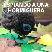 Stop motion de una pájara hormiguera en ganchillo. Animation, Arts, Crafts, 3D Animation, Embroider, Art To, s, and Crochet project by Carolina Salazar Rincón - 03.09.2021