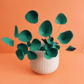 Paper Pilea. Arts, Crafts, and Paper Craft project by Chanty Town - 03.15.2021
