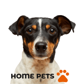 Veterinaria Home Pets :Diseño de interfaces para sitios web y aplicaciones. UX / UI, and Pattern Design project by Diego Félix - 03.17.2021