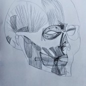 Minhas atividades no Curso Desenho Anatômico Da Cabeça Humana. Un proyecto de Dibujo anatómico de Jordana Borchartt Quevedo - 19.03.2021
