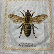 Cross Stitch Honeybee. Un projet de Broderie de Jason Kitting - 25.02.2021