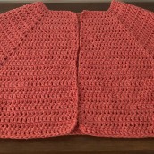 Mi Proyecto del curso:  Top-down: prendas a crochet de una sola pieza. Un proyecto de Bordado de karlygross - 09.04.2021