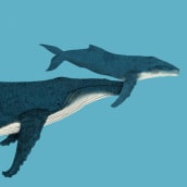 Mama Humpback Whale. Traditional illustration, Digital Illustration, and Children's Illustration project by Marianna Ferreiro - 04.11.2021