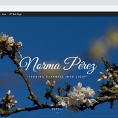 Mi Proyecto del curso: Creación de una web profesional con WordPress. Un proyecto de Diseño gráfico, Diseño Web, Desarrollo Web y Dibujo digital de Norma Pérez - 12.04.2021
