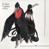 Christmas Frigatebirds. A Illustration, Character Design, Costume Design, Watercolor Painting, Concept Art, Artistic Drawing, Digital Painting, Figure drawing , Ink Illustration, Narrative, and Naturalistic Illustration project by Alsu Kashshapova - 04.13.2021
