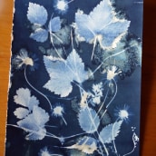 My project in Cyanotype: Printing with Light course. Printing project by fresaichigo - 04.15.2021