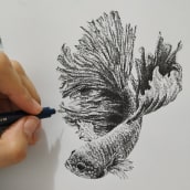 Ilustrando la naturaleza. Ilustração tradicional, e Sketchbook projeto de Carolina Correa - 24.04.2021