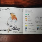 Il mio progetto del corso: Acquerello artistico per illustrazione di uccelli. Pintura em aquarela projeto de Annalisa Dione - 28.04.2021