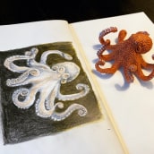 Octopus sketch inspired by Chiaroscuro Creative Portrait with Pencils course. Un proyecto de Dibujo de Monica Graham - 03.05.2021