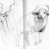 Animals. Un progetto di Illustrazione tradizionale, Animazione, Animazione 2D e Illustrazione editoriale di Sebastián García Muñoz - 04.05.2021