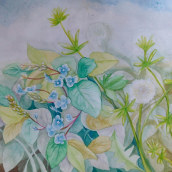 My second project ~Negative Watercolor Painting for Botanical Illustration  Ein Projekt aus dem Bereich Aquarellmalerei und Botanische Illustration von mardathana - 06.05.2021