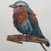 Un pájaro. Un proyecto de Ilustración tradicional, Pintura, Dibujo y Pintura acrílica de Mónica Reséndez - 09.05.2021