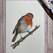 My project in Artistic Watercolor Techniques for Illustrating Birds course. Un projet de Peinture de Shan - 06.05.2021