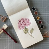 Mi Proyecto del curso: Cuaderno botánico en acuarela. Ilustração tradicional, Pintura em aquarela, Ilustração botânica, e Sketchbook projeto de Carla - 02.06.2021