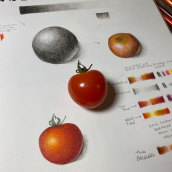 Tomato study. Illustration project by Kyra S - 06.02.2021