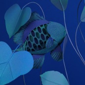 fish composition #1. Un proyecto de Diseño, Ilustración, Publicidad, Instalaciones, Fotografía, Dirección de arte y Bellas Artes de Diana Beltran Herrera - 20.03.1987