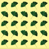 Patterns: 2 - Ginkgo Leaves  . Design, Ilustração tradicional, Fotografia, Design gráfico, Pattern Design, Criatividade, Ilustração digital, Estampagem, Fotografia digital, e Design digital projeto de katerina.valiath - 29.06.2021