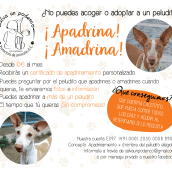 Carteles, certificados y diplomas para protectoras de animales.. Un proyecto de Diseño gráfico y Diseño de carteles de Samantha Calderín - 04.07.2021