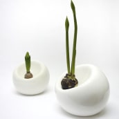 Bulb planter. Industrial Design, Product Design, and Ceramics project by Marre Moerel - 07.08.2021