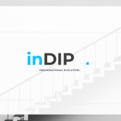 inDIP www.indip.org. A Creative Consulting project by Pablo Lascurain - 02.17.2021